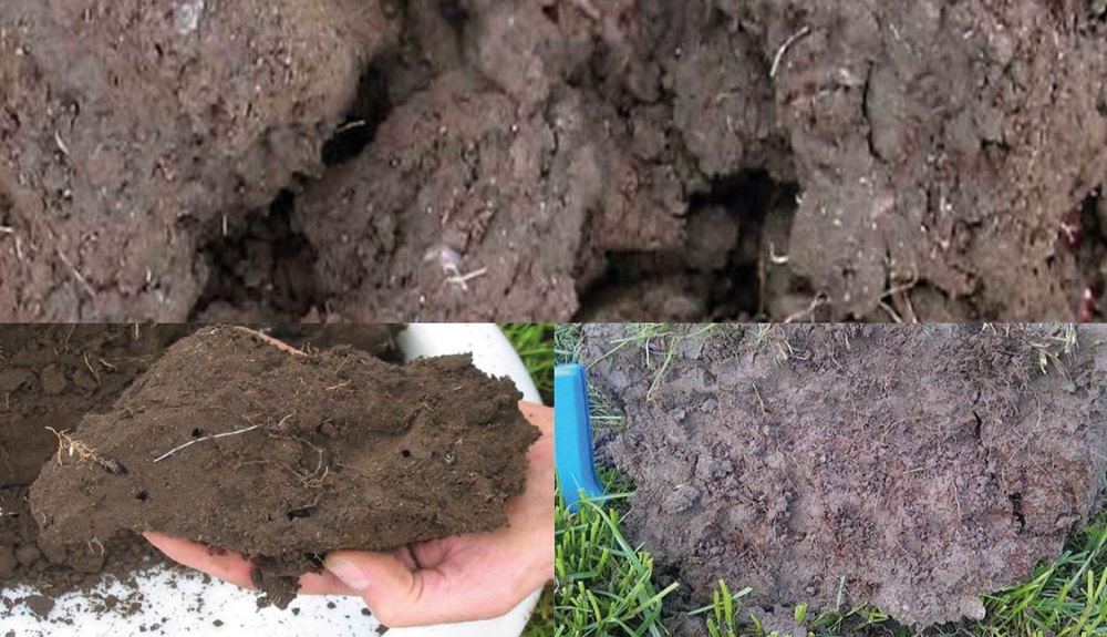 Examples of soil with a VESS score of 4